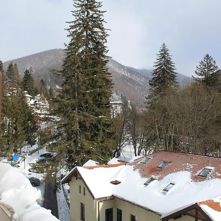 Ferienwohnung Central Park View Sinaia Exterior foto