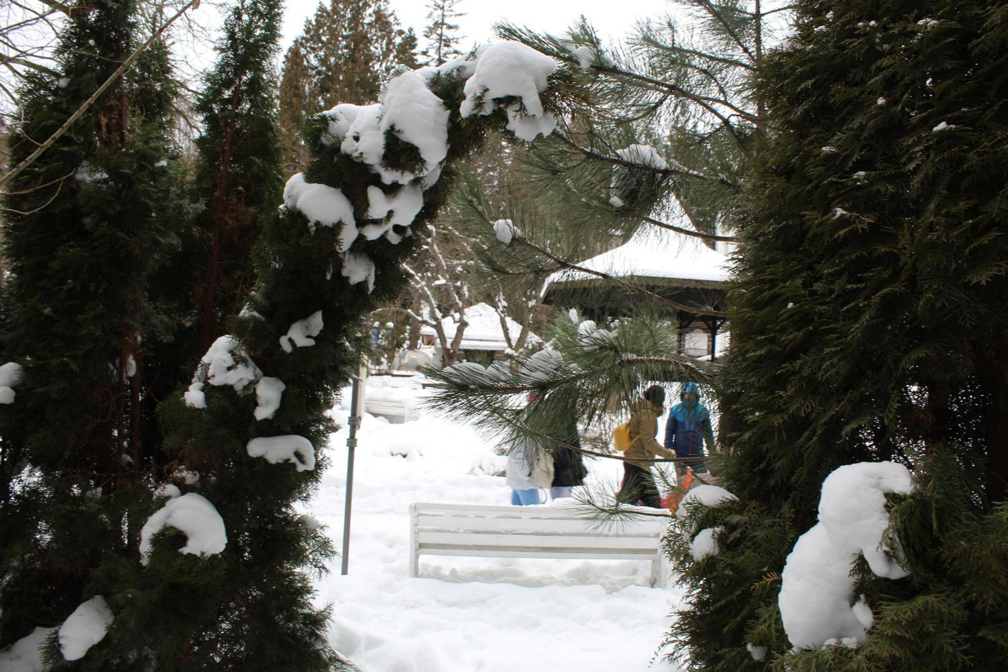 Ferienwohnung Central Park View Sinaia Exterior foto