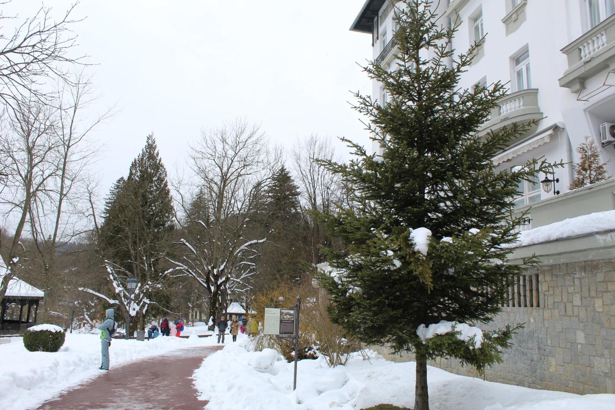 Ferienwohnung Central Park View Sinaia Exterior foto